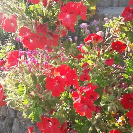 Σπίτι διακοπών House With 3 Bedrooms In With Wonderful Mountain View Shared Pool Enclosed Garden 5 Km From The Beach Μάφρα