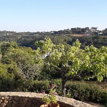 Σπίτι διακοπών House With 3 Bedrooms In With Wonderful Mountain View Shared Pool Enclosed Garden 5 Km From The Beach Μάφρα