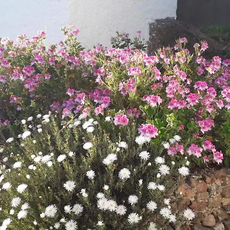 Σπίτι διακοπών House With 3 Bedrooms In With Wonderful Mountain View Shared Pool Enclosed Garden 5 Km From The Beach
